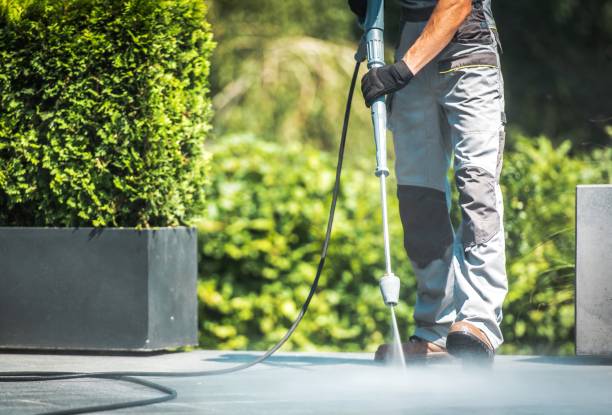 Best Spring Cleaning  in Remerton, GA